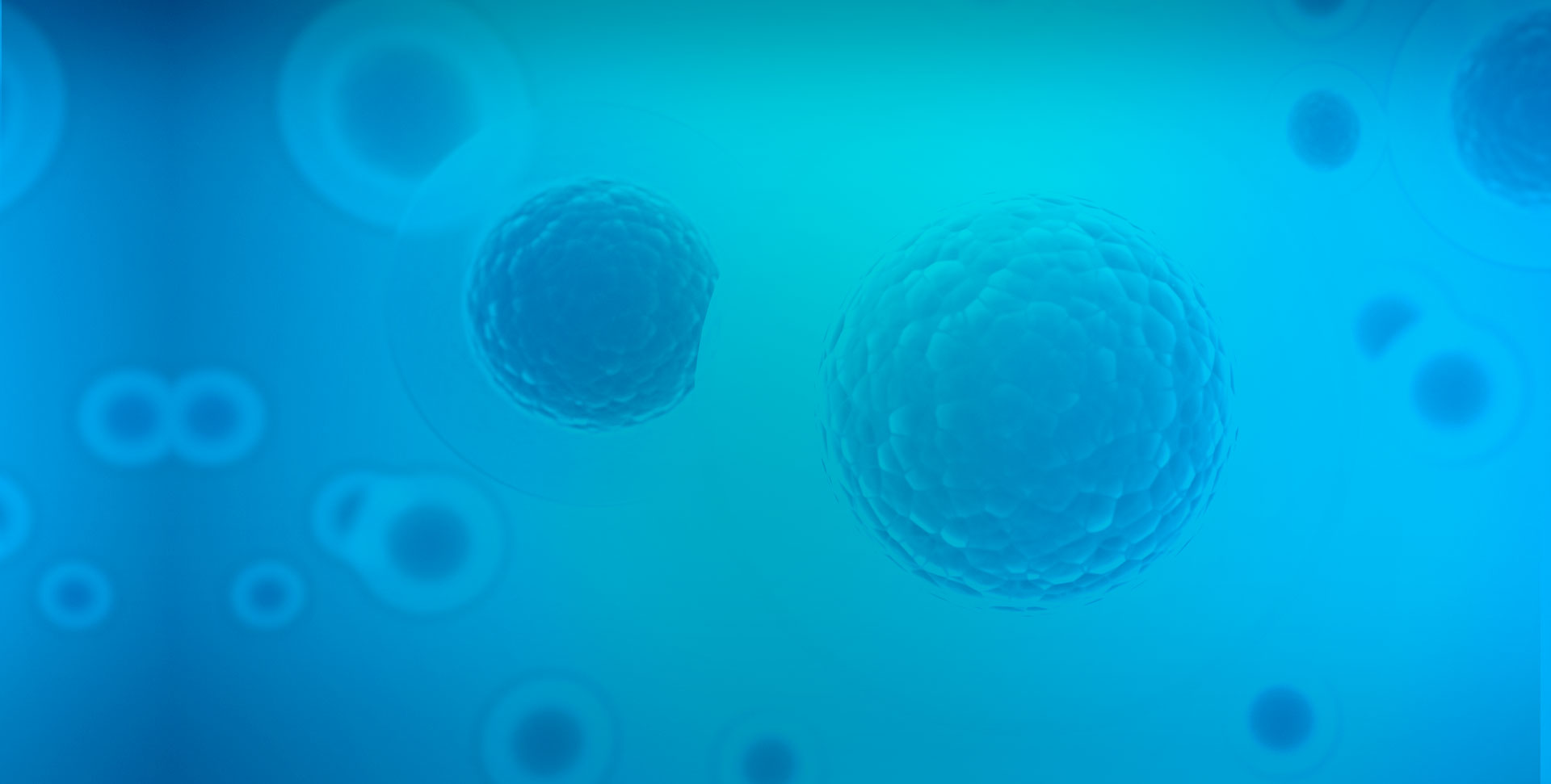 Hyalüronik asit nedir ?